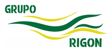 Logo do Grupo Rigon
